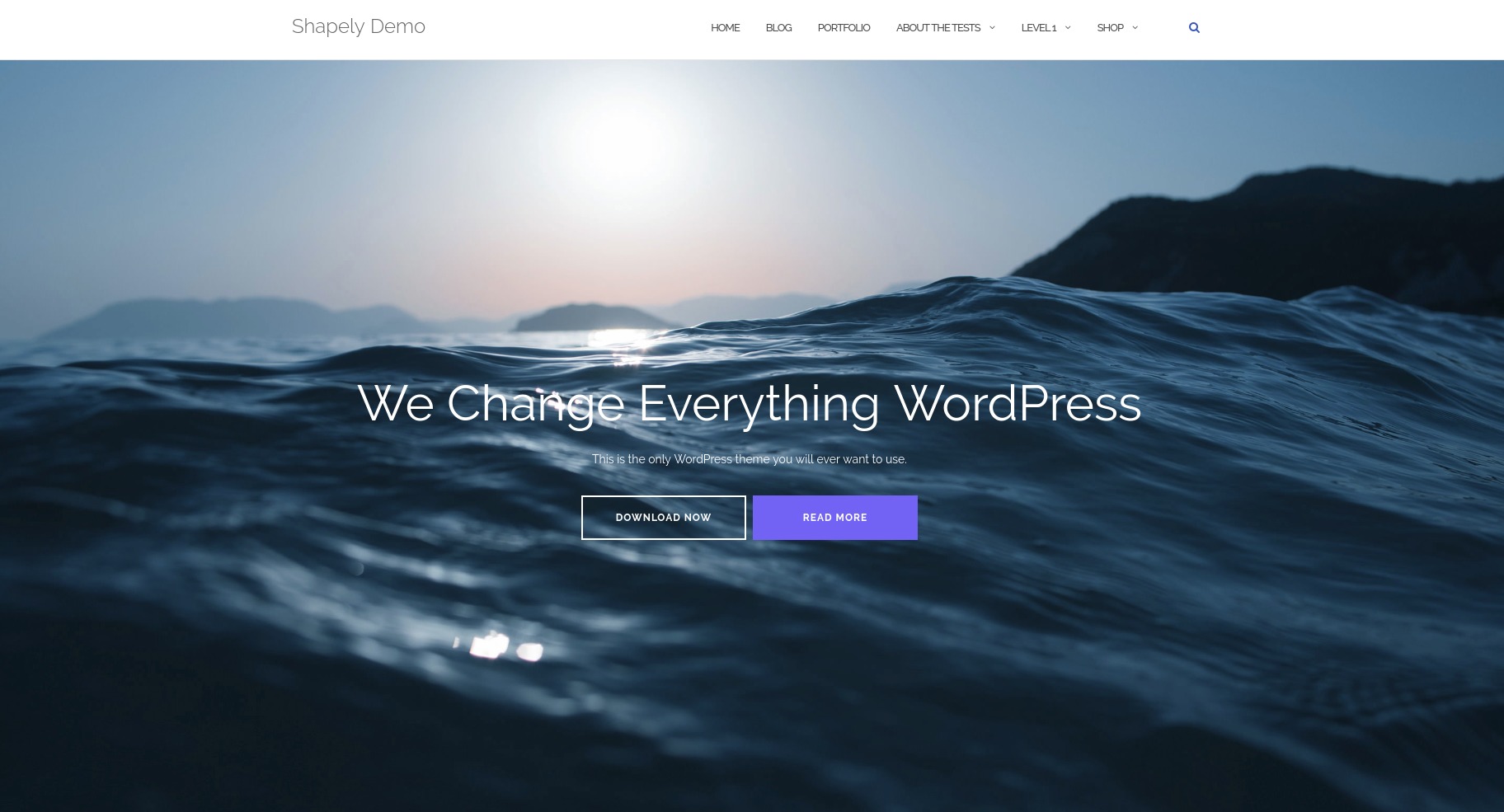 most downloaded free wordpress themes 2017